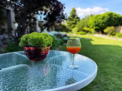 a glass of wine sitting on a table with a plant at Spacious and quiet garden view room in Kelowna