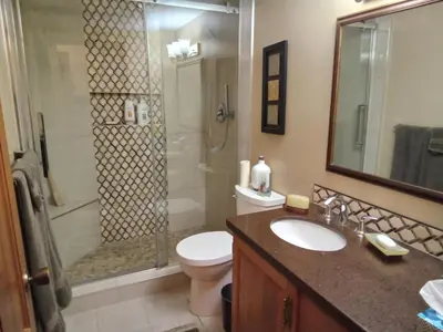a bathroom with a shower and a toilet and a sink at Hannie's Gasthuis in Blind Bay
