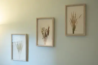 two framed pictures of flowers on a wall at Lovely 1BR Secondary suite with Separate entrance in New Westminster