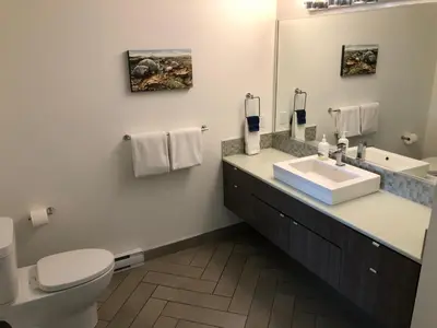 a bathroom with a sink and a toilet and a mirror at Mariner's Loft - Salt Spring Island in Ganges