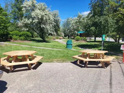 two wooden picnic tables in a park with trees at THE ORCHARD (HOSTEL WITH PRIVATE BUNKS) in Radium Hot Springs