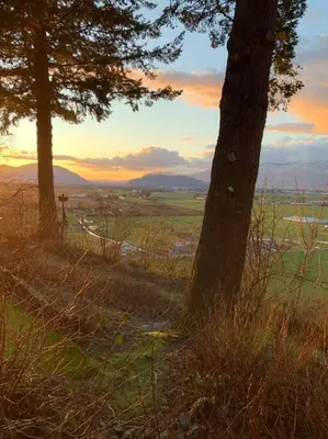 a view of a field with two trees at Tiny House Big View in Chilliwack