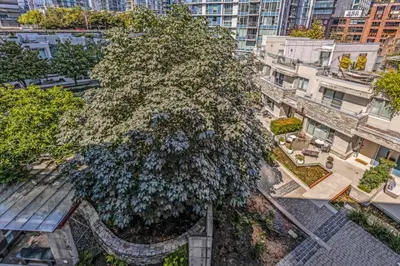 an overhead view of a large tree in a city at Gastown Downtown Apartment very central in Vancouver
