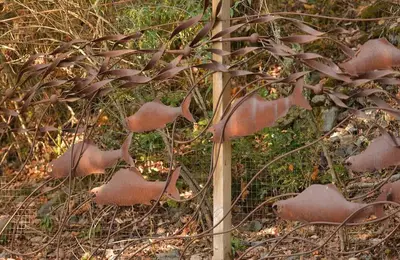 a plant with pink flowers growing next to a fence at Salishan Tree House Suite by EMR Vacation Rentals in Cowichan Bay