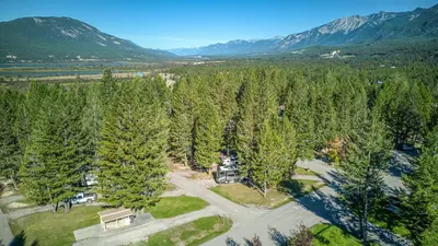 an aerial view of a forest of trees at RidgeView Resort in Radium Hot Springs