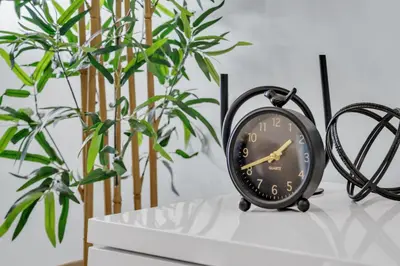 a clock sitting on a table next to a plant at You will love this 2BR Guest Suite in SE Calgary in Calgary