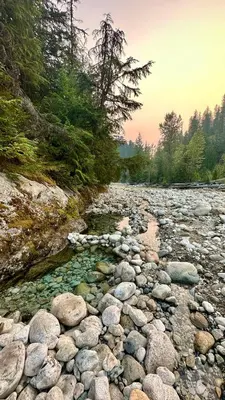 a river with rocks and trees in the background at Kootenay Lakeview Retreats - Forest Cabin in Nakusp