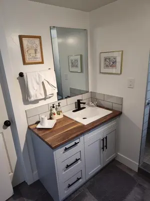 a bathroom with a sink and a mirror at Tranquil & Tasteful One Bdrm Private Suite NE in Edmonton