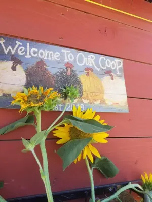 a sign that says welcome to our coop with a sunflower at Global Village Permaculture BnB in Oliver