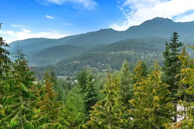 a view of a forest with mountains in the background at Whistler 'Treehouse' in Whistler