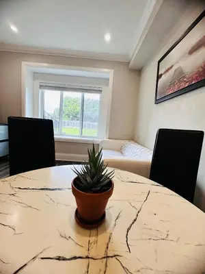 a dining room table with a potted plant on it at \u9ce5\u5de22\u7761\u623f\u6c11\u5bbf in Richmond