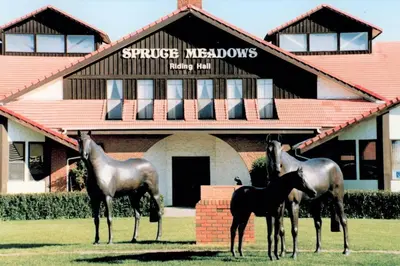 three horses standing in the grass in front of a building at Stylish Getaway by Spruce Meadows in Calgary