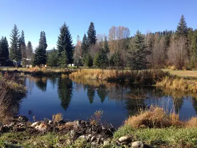 a pond in a field with trees in the background at Witt's End Ranch Private Get Away in Princeton