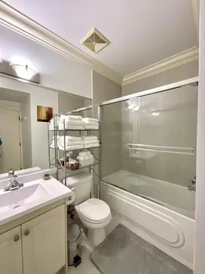 a bathroom with a toilet and a shower and a sink at New two-bedroom legal suite with parking in White Rock