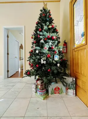 a christmas tree in a living room with a box at Super Cosy 8Bed & 6Bath in Vancouver heart near to airport and DownTown in Vancouver