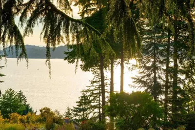 a view of a body of water with trees at Caboose in Bowen Island