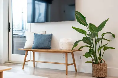 a plant sitting on a wooden bench in a living room at Adanac by Revelstoke Vacations in Revelstoke