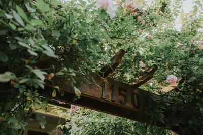 a street sign obscured by a tree with flowers at A Gentle Hideaway in the Urban Forest WEST END downtown Vancouver in Vancouver