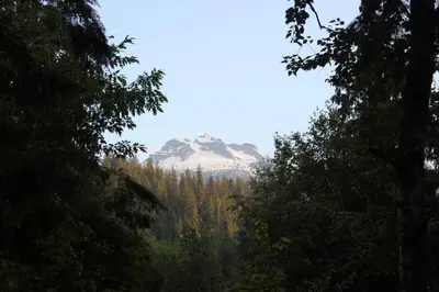 a mountain in the middle of a forest of trees at Revelstoke RV & Cabin Resort in Revelstoke