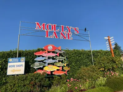 a sign for a michives lane with many umbrellas at Iconic 3-Story Waterfront 'Marina House' w/ View in Gibsons