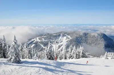 a snow covered mountain with trees on a ski slope at Grouse Cheerful large private bedroom, bath, shared deck, pool, hot tub in North Vancouver