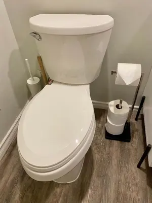 a white toilet in a bathroom with a roll of toilet paper at Waterfront Eagle Nest in Nanaimo