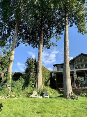 a house with three trees and a bench in the grass at Waterfront Eagle Nest in Nanaimo
