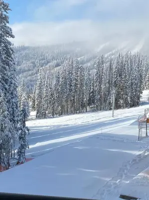 a snowy road with snow covered trees and a mountain at Cozy Modern Ski-in & Ski-out, Hot Tub, Townhouse in Sun Peaks