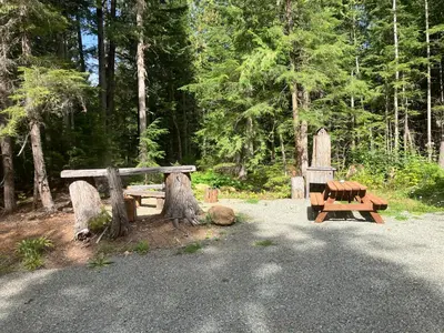 a picnic table and benches in a forest at Mini Moo-light Cabin in Clearwater