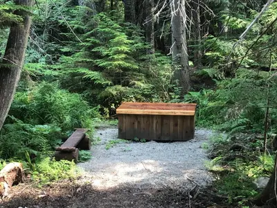 a wooden box sitting in the middle of a forest at Mini Moo-light Cabin in Clearwater