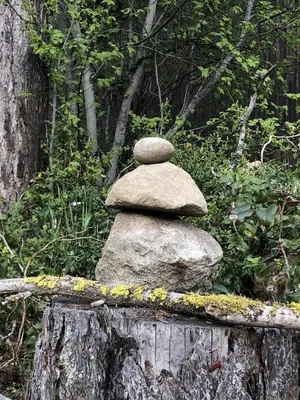 a stack of rocks sitting on top of a tree stump at Funky Bunky in Nelson